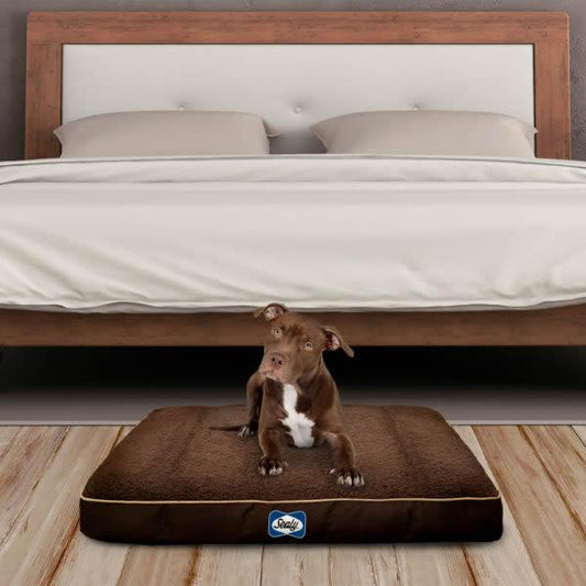 Sealy Cushy Comfy Orthopaedic Dog Bed