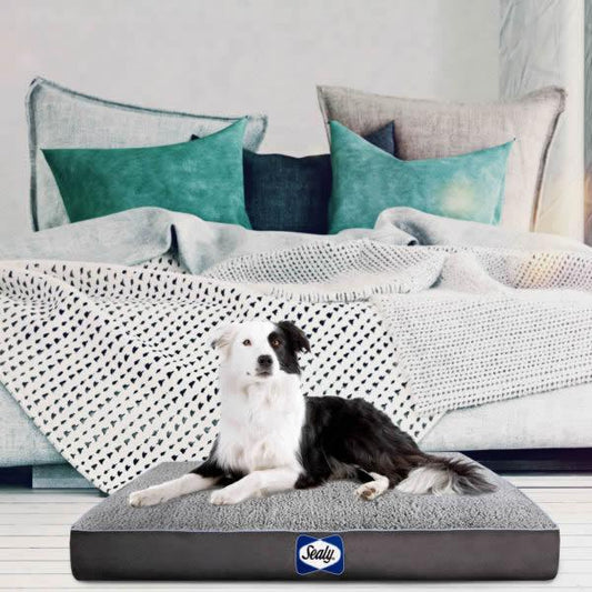 Sealy Cushy Comfy Orthopaedic Dog Bed