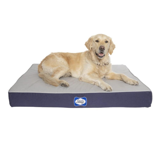 Sealy Defender Series Orthopaedic Dog Bed