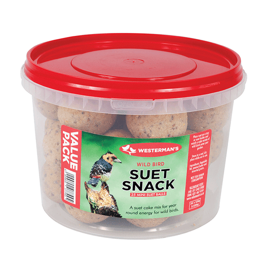 Suet Snack Mini Ball Value Tub